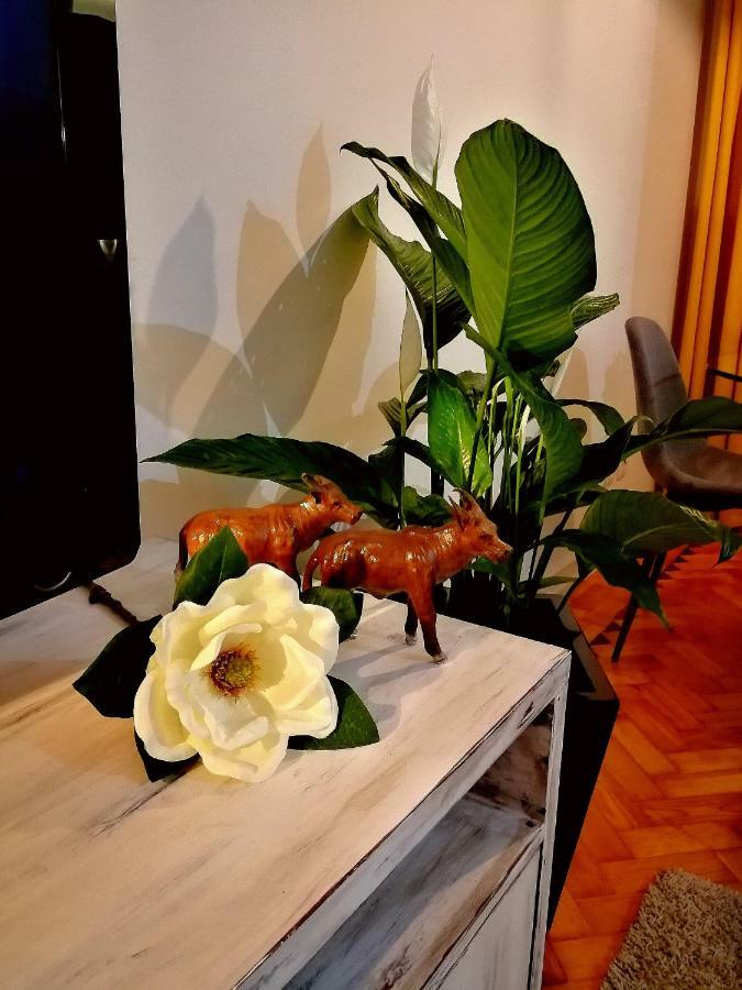 Appartement The Sunset Lisbon Flat Extérieur photo